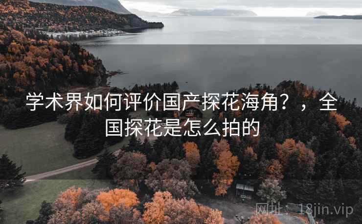 学术界如何评价国产探花海角?,全国探花是怎么拍的