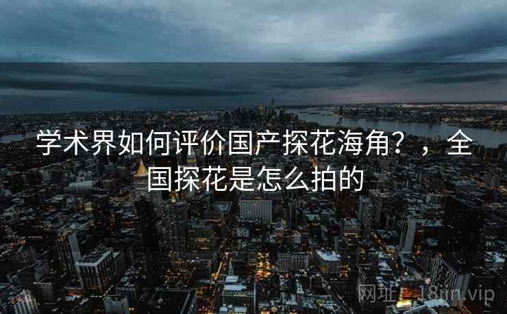 学术界如何评价国产探花海角?,全国探花是怎么拍的