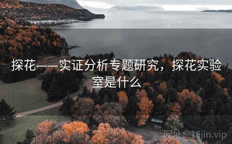 探花——实证分析专题研究,探花实验室是什么
