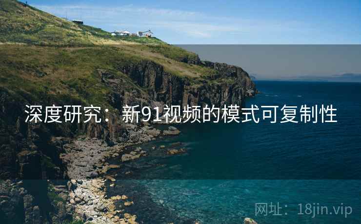 深度研究:新91视频的模式可复制性