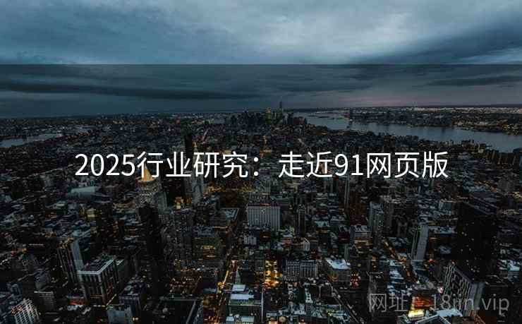 2025行业研究:走近91网页版