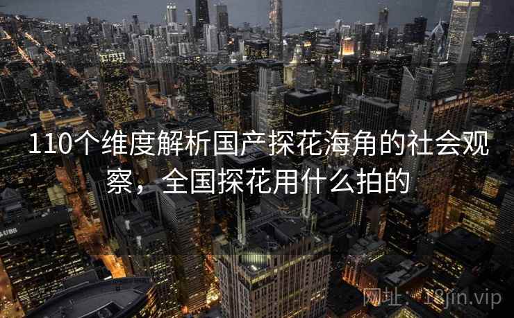 110个维度解析国产探花海角的社会观察,全国探花用什么拍的 第2张 110个维度解析国产探花海角的社会观察,全国探花用什么拍的 第2张