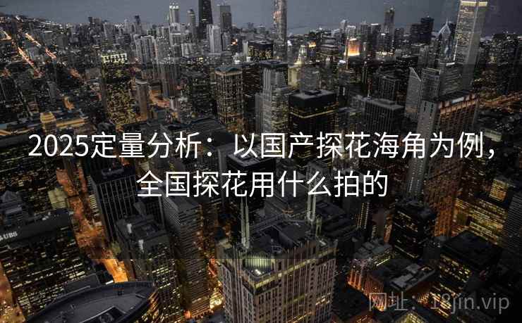 2025定量分析:以国产探花海角为例,全国探花用什么拍的