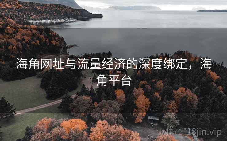 海角网址与流量经济的深度绑定,海角平台