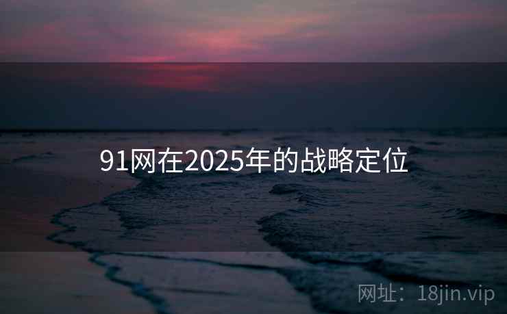 91网在2025年的战略定位