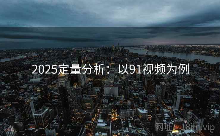 2025定量分析:以91视频为例