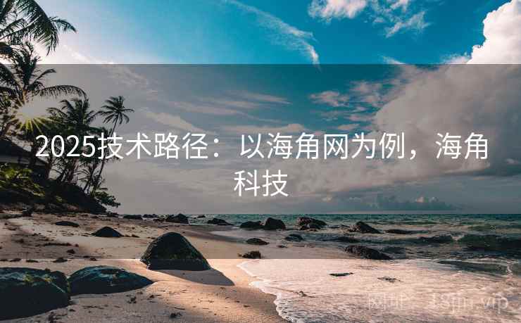2025技术路径:以海角网为例,海角科技