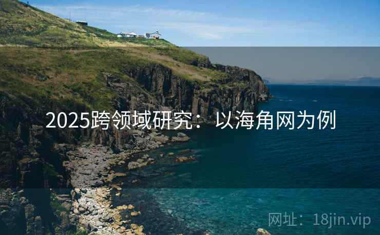 2025跨领域研究:以海角网为例