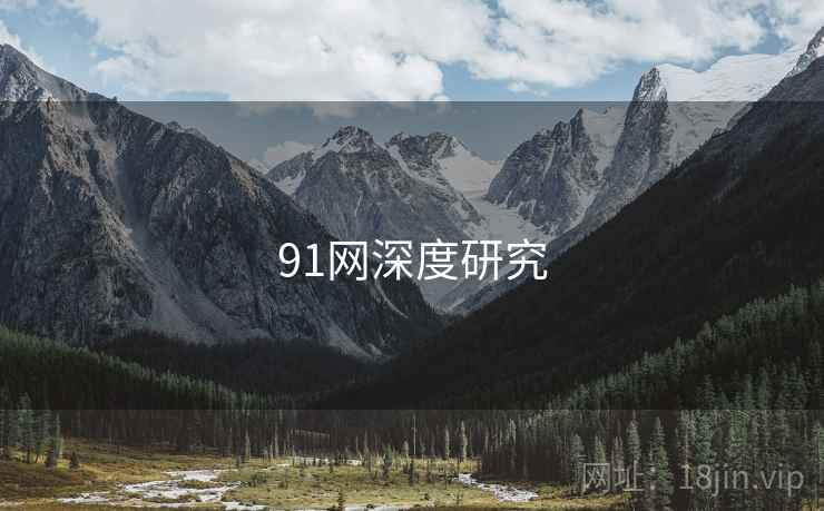 91网深度研究