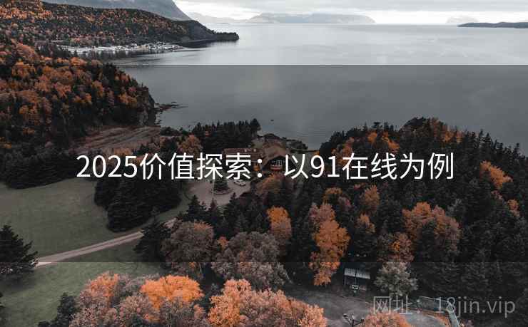 2025价值探索:以91在线为例